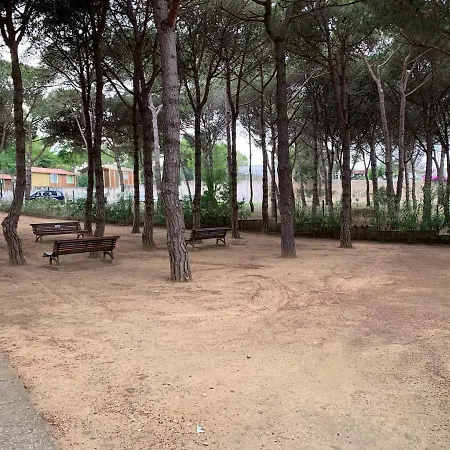 아파트 En La Fosca Mar Y Piscina